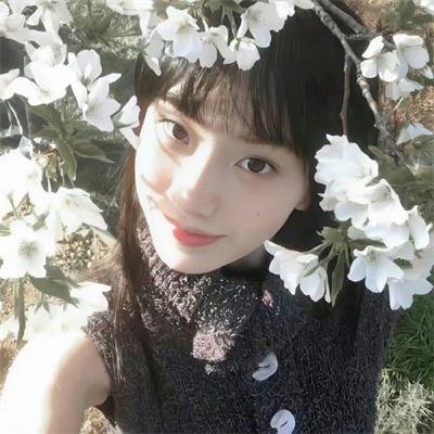 带着系统勇闯60年代